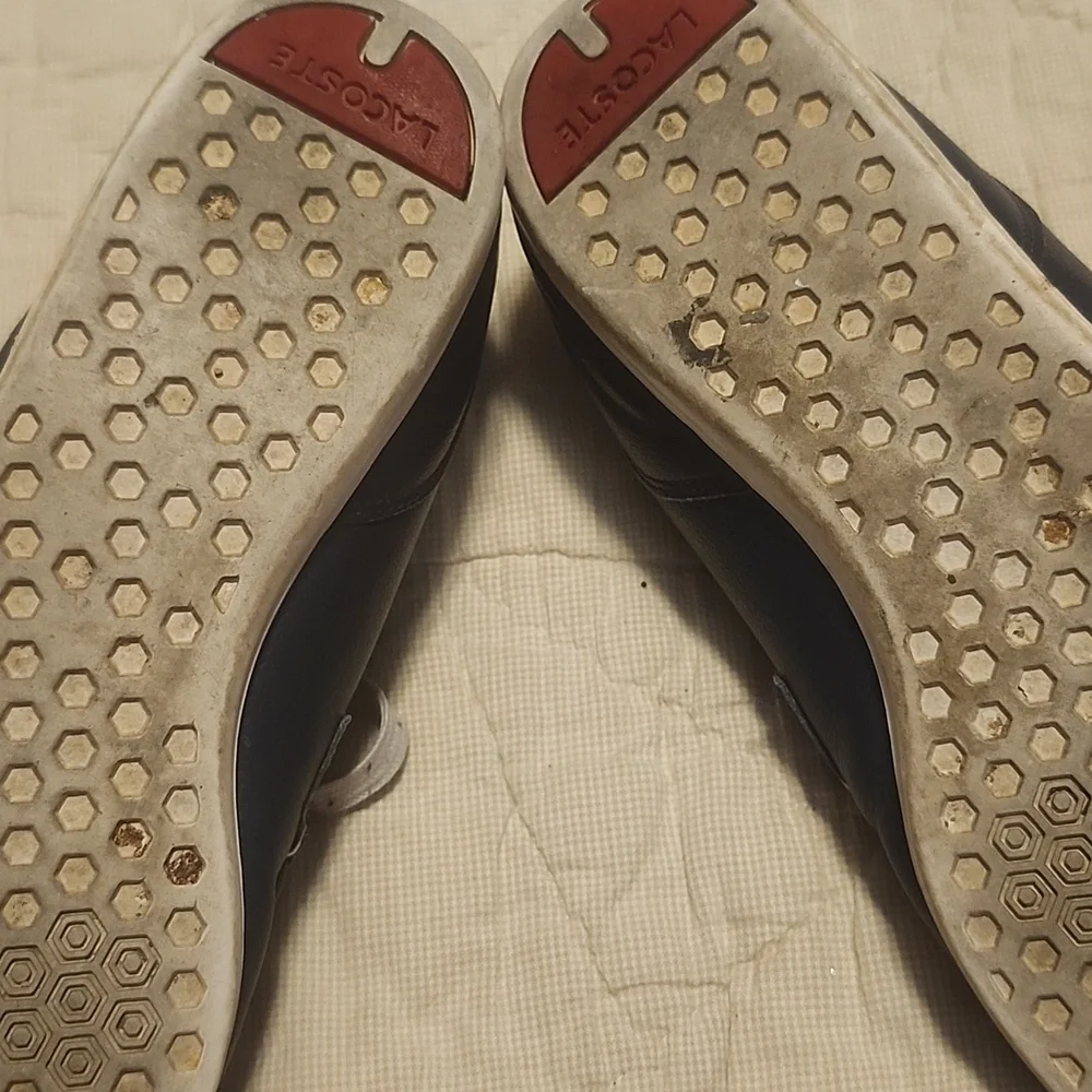 Lacoste Men's Navy Leather Shoes